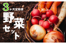 ＼ 3か月定期便 ／ 旬 の 採れたて野菜 詰め合わせ 野菜セット 野菜 野菜詰め合わせ 旬の野菜セット 旬の採れたて 酒々井 千葉 セット 季節の野菜 日用品