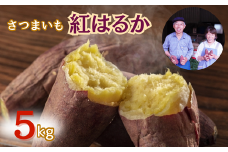 千葉県産 甘～い！ サツマイモ 紅はるか 5kg 先行予約 受付中 さつまいも べにはるか 熟成 ［石毛さん家の さつまいも ］