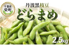 栄町の特産品　どらまめ枝豆2.5kg　数量限定　※2025年10月中旬～10月下旬頃に順次発送予定　※沖縄・離島への配送不可｜枝豆 丹波黒 黒大豆 黒豆 期間限定 人気 高級 高級品種 国産 健康 美容 13-9 黒枝豆