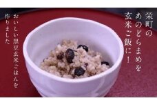 10-30 ふっくら黒豆玄米ごはん（6個セット）| 栄町 ご飯 パック レトルト レンジ 保存食　※沖縄・離島への配送不可　※2024年11月上旬頃より順次発送予定