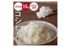 15-2令和6年産米（数量限定）ちばエコ認定米栄町産コシヒカリ10kg（5kg袋×2）長谷川農園 ※沖縄・離島への配送不可 ※2024年11月中旬～2025年3月下旬頃に順次発送予定
