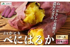 《先行予約・1月より順次発送》ＪＡかとり産　サツマイモ（べにはるか）【焼き芋 食べ比べ  チップス 干し芋】