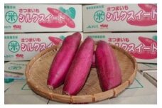 ＪＡかとり産　サツマイモ（シルクスイート）【焼き芋 食べ比べ チップス 干し芋】