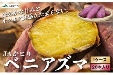 ＪＡかとり産　サツマイモ（ベニアズマ）【焼き芋 食べ比べ チップス 干し芋】