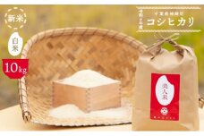 令和6年産 新米【美人米】白米10kg 【千葉県神崎町産】[002-a001]【精米 無洗米 米俵 コシヒカリ】