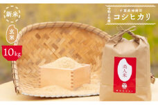 令和6年産新米【美人米】玄米10kg 【千葉県神崎町産】[002-a002]【精米 無洗米 米俵 コシヒカリ】