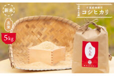 令和6年産新米【美人米】玄米5kg 【千葉県神崎町産】[002-a004]【精米 無洗米 米俵 コシヒカリ】