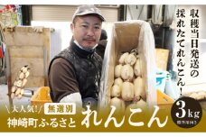 大人気！神崎町ふるさと れんこん （無選別3kg）（※4～7月受付分は8月以降順次発送）[013-a007]　