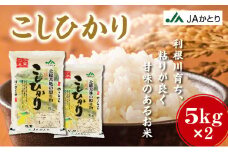 令和6年産 新米 コシヒカリ精米 10kg（5kg×2）千葉県神崎町産】[001-a004]
