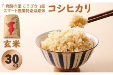 「発酵の里 こうざき」産 スマート農業特別栽培米 コシヒカリ玄米 30kg【千葉県神崎町産】[018-a003]