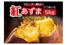 《先行予約》リピーター続出！さつまいも 紅あずま5kg 【神崎町・杉山農園から産地直送】2025年9月発送予定【さつまいも いも 芋 紅あずま 焼き芋 チップス 干し芋】[019-a001]