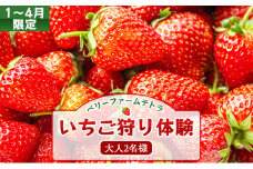 【1～4月限定】甘くてジューシー！ベリーファームテトラのいちご狩り体験（大人2名）[020-a001]