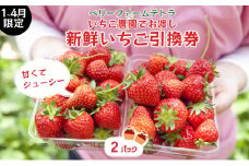 【いちご農園でお渡し・1～4月限定】甘くてジューシー！ベリーファームテトラの新鮮いちご引換券（2パック）[020-a002]