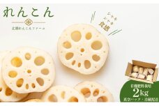 【テレビでも話題】千葉県神崎町産れんこん 2kg有機肥料栽培の甘みとシャキシャキ食感（真空パック・冷蔵配送）（※4月～8月は出荷不可）[022-a001]