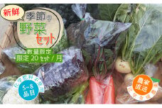 【数量限定】すが農園の季節の野菜セット（5～8品目）｜千葉県神崎町 ふるさと納税[023-a001]
