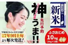 《先行予約・令和7年産新米》千葉県神崎町産 ふさおとめ 10kg（5kg ×2袋）｜早場米産地の新米を食卓へ｜9月以降順次発送予定｜数量限定【精米 米 お米 新米 白米 ご飯 白ごはん 弁当 5キロ 10キロ 20キロ】[025-a001]