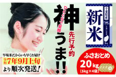 《先行予約・令和7年産新米》千葉県神崎町産 ふさおとめ 20kg（5kg ×4袋）｜早場米産地の新米を食卓へ｜9月以降順次発送予定｜数量限定【精米 米 お米 新米 白米 ご飯 白ごはん 弁当 5キロ 10キロ 20キロ】[025-a002]