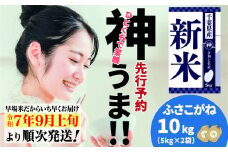 《先行予約・令和7年産新米》千葉県神崎町産 ふさこがね 10kg（5kg ×2袋）｜早場米産地の新米を食卓へ｜9月以降順次発送予定｜数量限定【精米 米 お米 新米 白米 ご飯 白ごはん 弁当 5キロ 10キロ 20キロ】[025-a003]