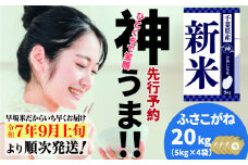 《先行予約・令和7年産新米》千葉県神崎町産 ふさこがね 20kg（5kg ×4袋）｜早場米産地の新米を食卓へ｜9月以降順次発送予定｜数量限定【精米 米 お米 新米 白米 ご飯 白ごはん 弁当 5キロ 10キロ 20キロ】[025-a004]