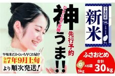 《先行予約・令和7年産新米》千葉県神崎町産 ふさおとめ 30kg（5kg ×6袋）｜早場米産地の新米を食卓へ｜9月以降順次発送予定｜数量限定【精米 米 お米 新米 白米 ご飯 白ごはん 弁当 5キロ 10キロ 20キロ 30キロ 40キロ 50キロ】[025-a008]