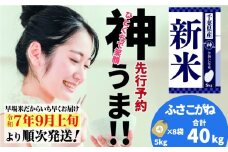 《先行予約・令和7年産新米》千葉県神崎町産 ふさこがね 40kg（5kg ×8袋）｜早場米産地の新米を食卓へ｜9月以降順次発送予定｜数量限定【精米 米 お米 新米 白米 ご飯 白ごはん 弁当 5キロ 10キロ 20キロ 30キロ 40キロ 50キロ】[025-a011]