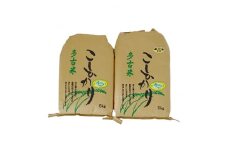 ＜令和4年産＞特別栽培米コシヒカリ多古米　精米5kg・玄米5kgセット【1030395】