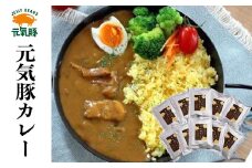 ＜千葉県産三元豚使用＞元気豚 カレーセット　2kg(200g×10食分)【1032620】