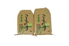 ＜令和4年産＞特別栽培米コシヒカリ多古米　玄米10kg【1030396】