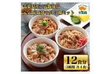 ＜千葉県多古町産＞元気豚　豚丼の具 3種セット(3種合計12食入り)【1223561】