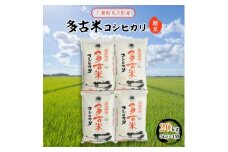 ＜令和6年産＞多古米コシヒカリ　精米20kg(5kg×4袋)【1030394】