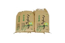 ＜令和4年産＞特別栽培米コシヒカリ多古米　玄米20kg【1030398】