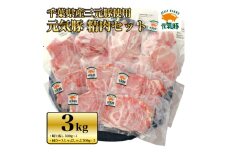＜農場直送＞千葉県産三元豚　元気豚 精肉セット 3kg【1030404】