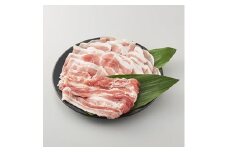 ＜農場直送＞千葉県産三元豚　元気豚 切り落しとバラしゃぶしゃぶ用精肉セット 3kg【1030423】