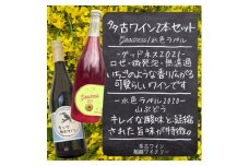 ＜多古町醸造ワイン 2本セット＞Goodness2021微発泡ロゼ・水色ラベル2020赤ワイン【1300924】