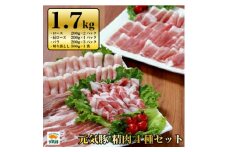 千葉県産豚肉　元気豚 精肉4種セット　1.7kg【1301298】