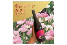多古ワイン2022・マスカット ベーリーA ＜赤＞【1371717】