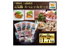 元気豚 スペシャルセット(6種類9パック入)　お中元やお歳暮など、贈答品にもおすすめ!【1303232】