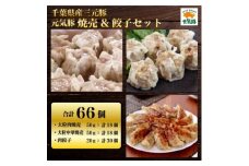 元気豚　焼売&餃子セット(合計66個)【1459598】