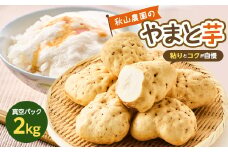 やまと芋の町 多古から「秋山農園のやまと芋」2kg【1459854】