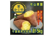 秋山農園からさつまいも新品種「栗かぐや」(令和6年産)5kg【1459865】