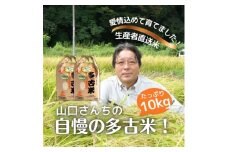 山口さんちの＜令和6年産＞多古米コシヒカリ(精米)10kg【1459866】
