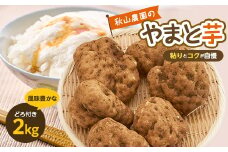 やまと芋の町!多古から「秋山農園のやまと芋」2kg(どろ付き)【1459872】