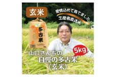 山口さんちの＜令和6年産＞多古米コシヒカリ(玄米)5kg【1481142】
