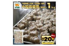 訳あり　元気豚 大粒肉焼売 1kg(50g×20個入り)【1506265】