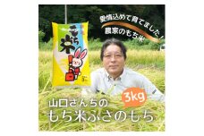 多古米農家 山口さんちのもち米3kg 千葉県奨励品種ふさのもち【1584696】