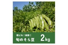 大村農場のそら豆2kg(5月上旬より順次発送)【1609285】