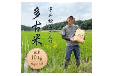 多古米セレクション　宇井稔二さんの多古米コシヒカリ　玄米10kg　令和7年産【1648312】