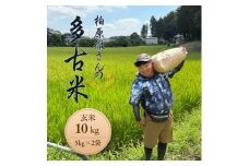 多古米セレクション　柏原徹さんの多古米コシヒカリ　玄米10kg　令和7年産【1655250】