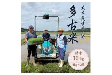多古米セレクション　大木茂秀さんの多古米コシヒカリ　精米10kg　令和7年産【1655264】
