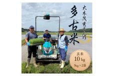 多古米セレクション　大木茂秀さんの多古米コシヒカリ　玄米10kg　令和7年産【1655266】